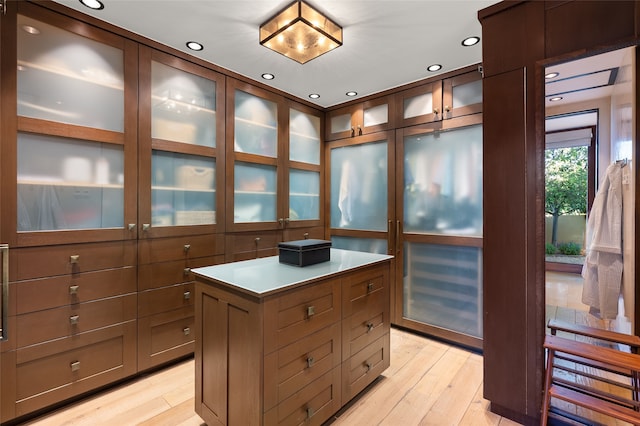 20 Rising Moon, Santa Fe, NM 87506 - walk in closet with light wood finished floors