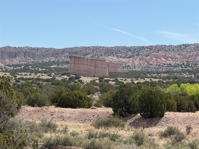 TBD State Road 554, El Rito, NM 87530