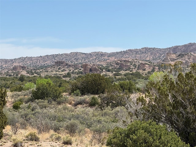 TBD State Road 554, El Rito, NM 87530