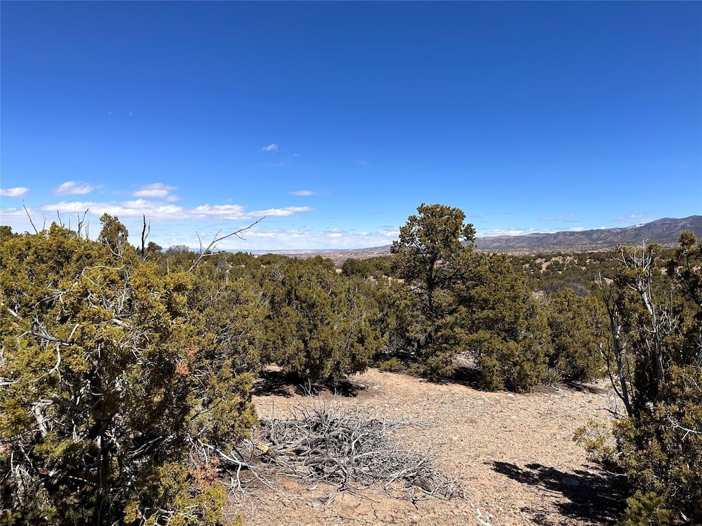 4020 Via Verdi, Santa Fe, NM 87506