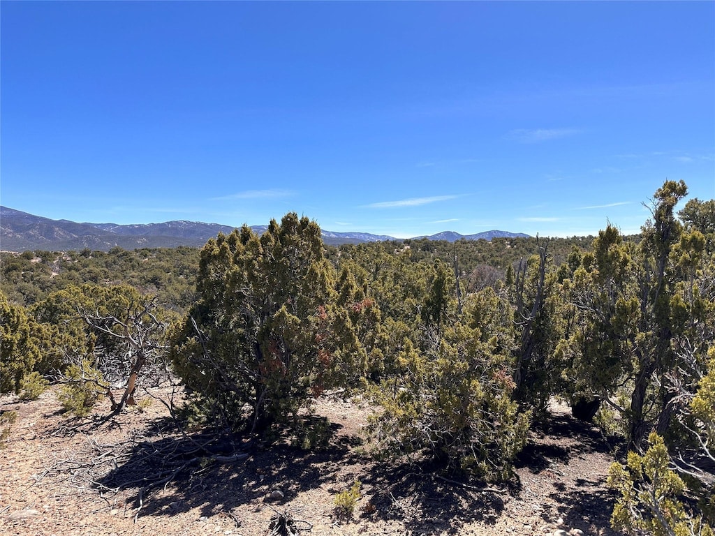 4020 Via Verdi, Santa Fe, NM 87506