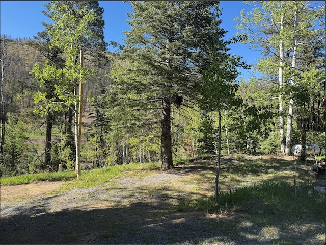 7 W Meadow Ln, Sapello, NM 87745 - view of wooded area