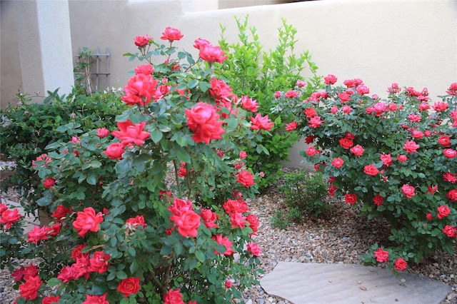 11 W Avenida Sebastian, Santa Fe, NM 87506 - exterior view of stucco siding