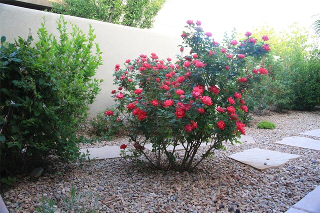 11 W Avenida Sebastian, Santa Fe, NM 87506 - view of yard
