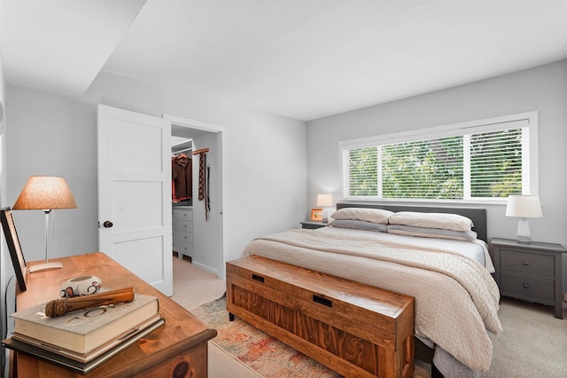 3177 Nickel Unit A, Los Alamos, NM 87544 - bedroom with light carpet, multiple windows, and a walk in closet