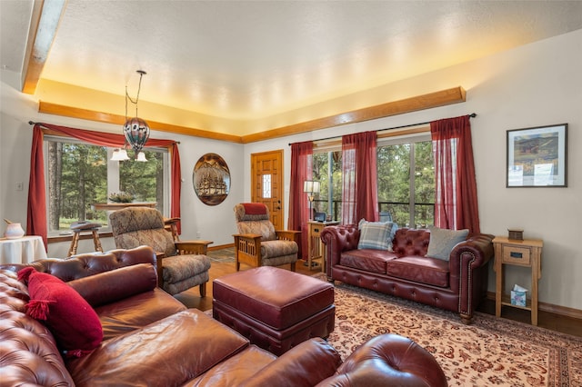 50 Jackson Hole Rd, Angel Fire, NM 87710 - living room with baseboards, wood finished floors, and a tray ceiling