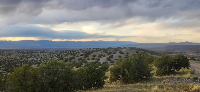 258 Red Rock, Cerrillos, NM 87010