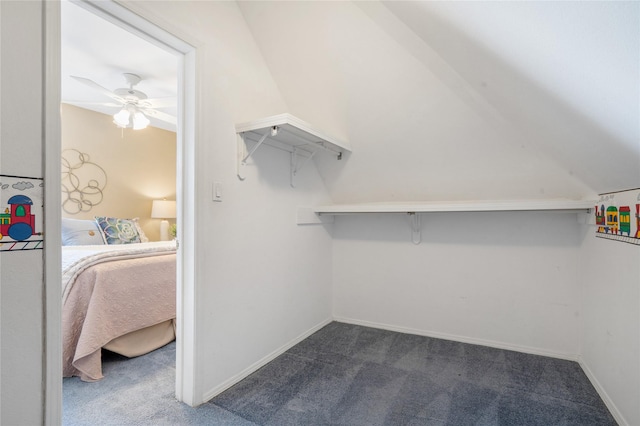 917 Estates Dr, Los Alamos, NM 87544 - walk in closet featuring carpet flooring and a ceiling fan