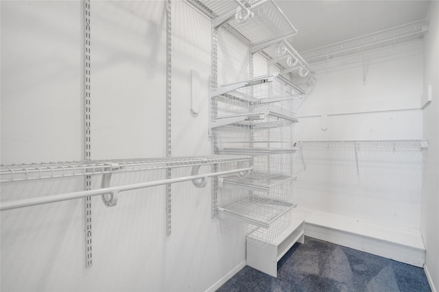 917 Estates Dr, Los Alamos, NM 87544 - spacious closet with carpet floors