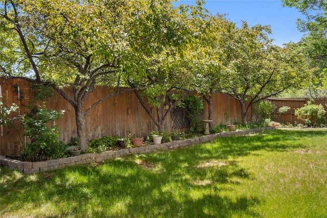 917 Estates Dr, Los Alamos, NM 87544 - view of yard