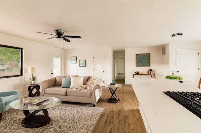 1180 Sioux, Los Alamos, NM 87544 - living area featuring wood finished floors and a ceiling fan