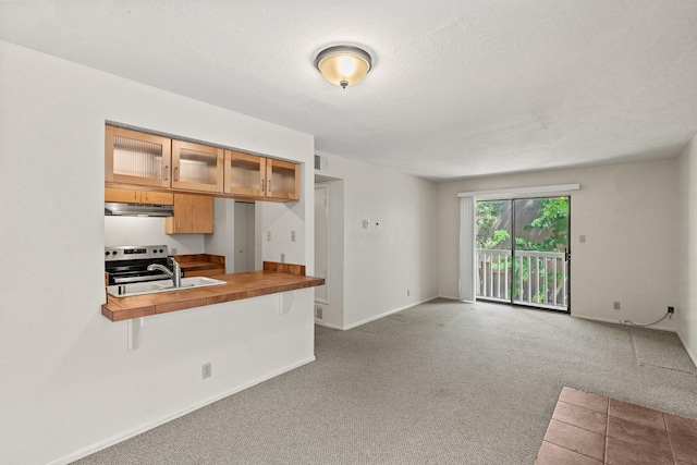 941 Calle Mejia Unit 1610, Santa Fe, NM 87501 - kitchen featuring under cabinet range hood, a sink, electric stove, carpet flooring, and glass insert cabinets