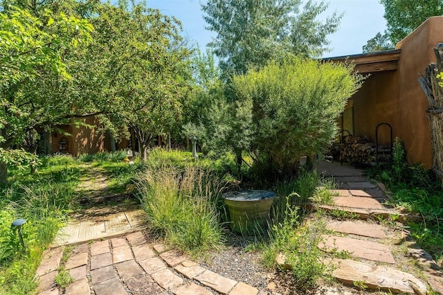 525 Camino Militar, Santa Fe, NM 87501 - view of yard