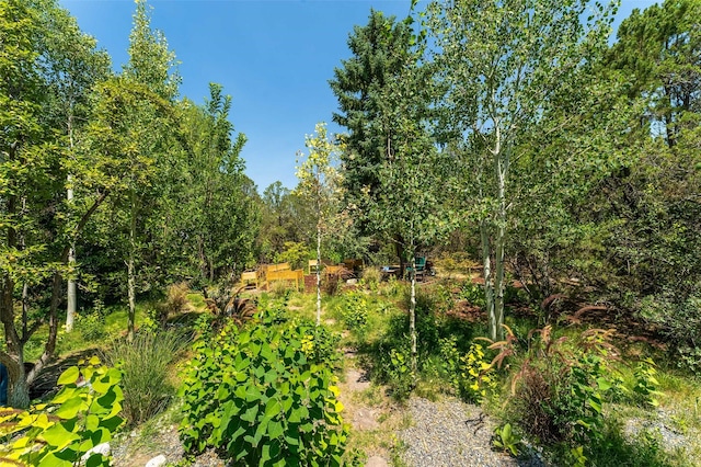 525 Camino Militar, Santa Fe, NM 87501 - view of local wilderness