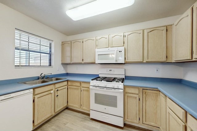 1128 Pandora Dr SW, Los Lunas, NM 87031 - kitchen featuring white appliances, light brown cabinets, light wood-type flooring, and light countertops