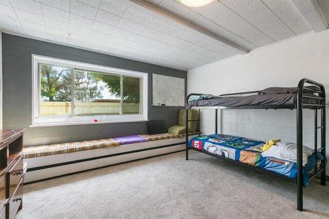 215 San Juan St, Los Alamos, NM 87544 - view of carpeted bedroom