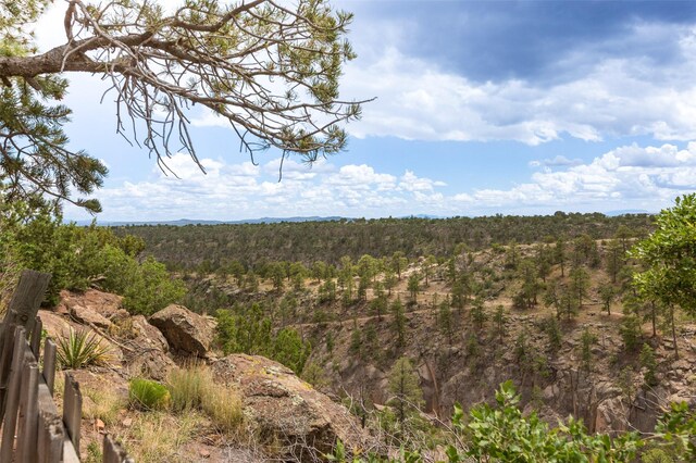 215 San Juan St, Los Alamos, NM 87544 - view of woods