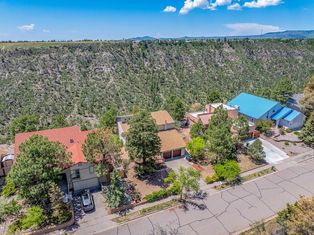 1327 San Ildefonso Rd, Los Alamos, NM 87544 - drone / aerial view of a heavily wooded area