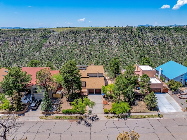 1327 San Ildefonso Rd, Los Alamos, NM 87544 - view of subject property featuring a forest