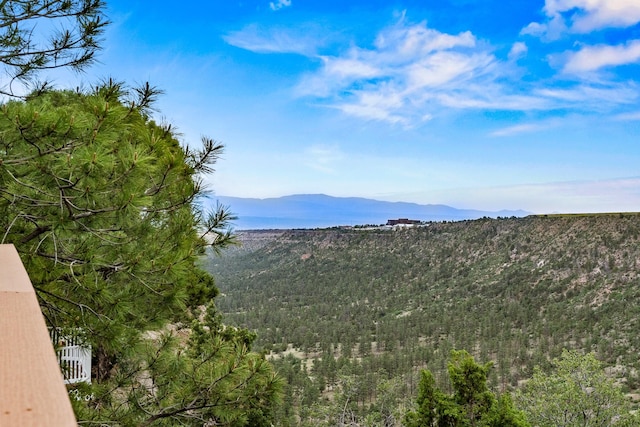 1327 San Ildefonso Rd, Los Alamos, NM 87544 - view of mountain backdrop