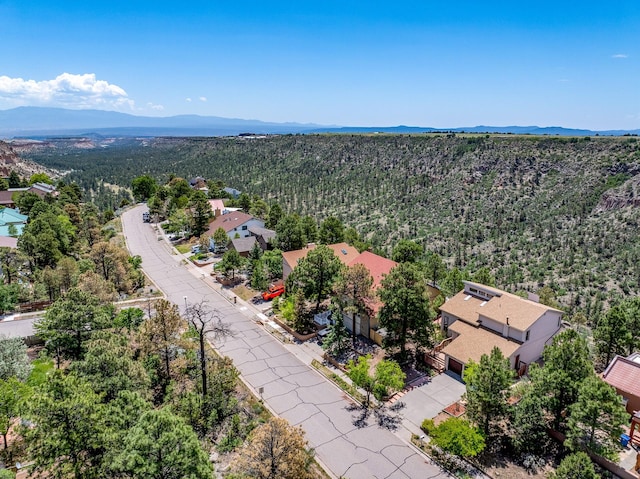 1327 San Ildefonso Rd, Los Alamos, NM 87544 - aerial view of a forest and a mountainous background