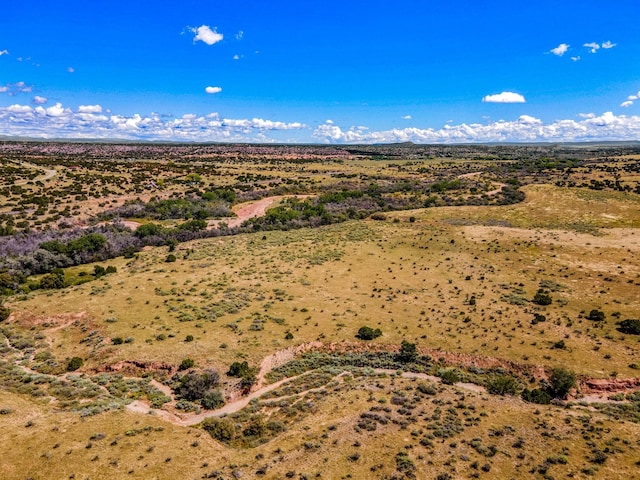 177 Camino Querencia, Cerrillos, NM 87010