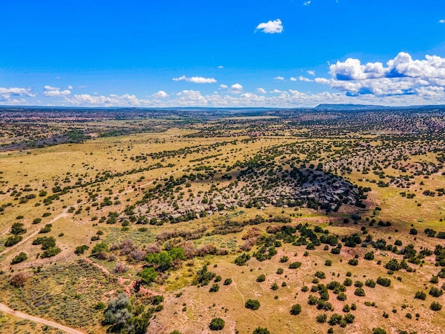 177 Camino Querencia, Cerrillos, NM 87010