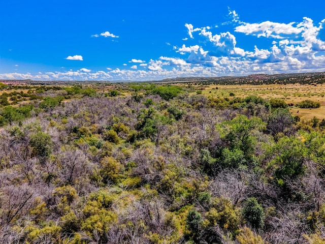 177 Camino Querencia, Cerrillos, NM 87010