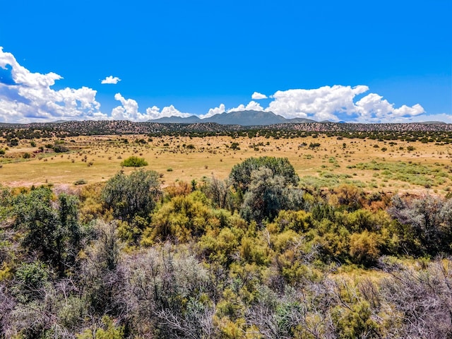177 Camino Querencia, Cerrillos, NM 87010