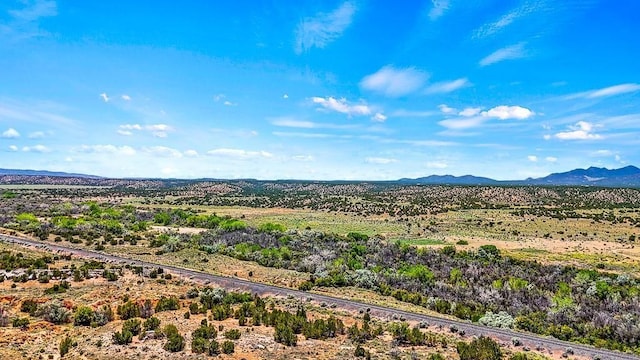 177 Camino Querencia, Cerrillos, NM 87010