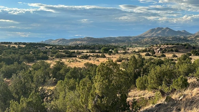 177 Camino Querencia, Cerrillos, NM 87010
