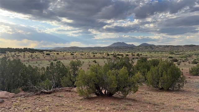 177 Camino Querencia, Cerrillos, NM 87010