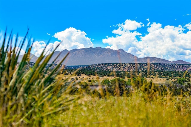 177 Camino Querencia, Cerrillos, NM 87010