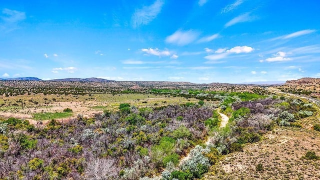 177 Camino Querencia, Cerrillos, NM 87010