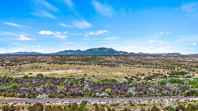 177 Camino Querencia, Cerrillos, NM 87010
