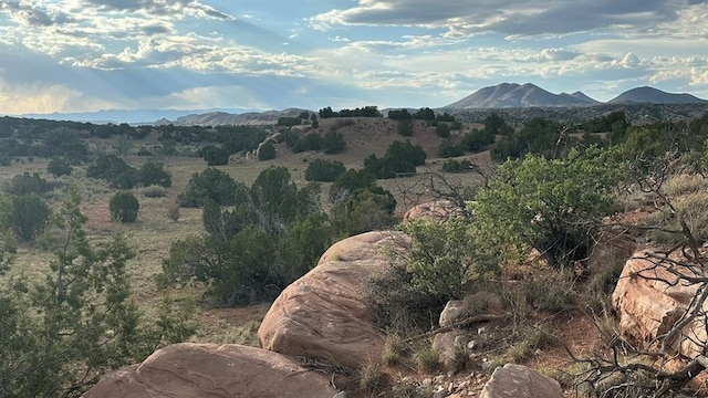 177 Camino Querencia, Cerrillos, NM 87010