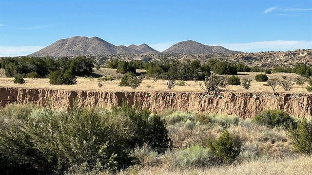 177 Camino Querencia, Cerrillos, NM 87010