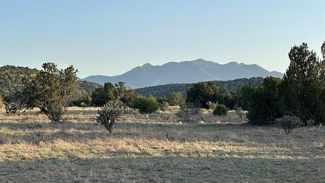 177 Camino Querencia, Cerrillos, NM 87010