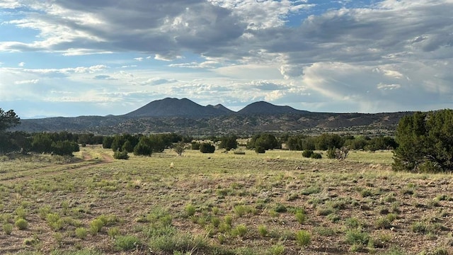 177 Camino Querencia, Cerrillos, NM 87010