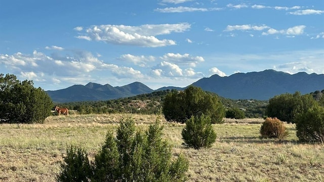 177 Camino Querencia, Cerrillos, NM 87010