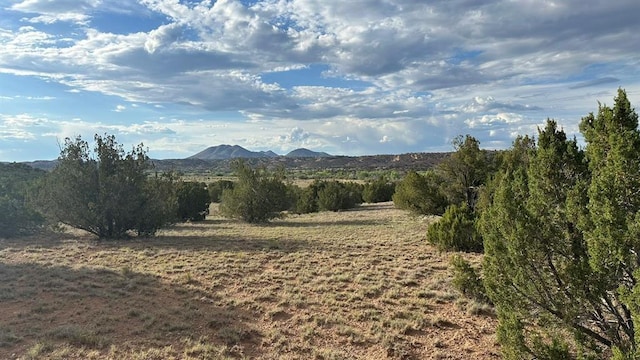 177 Camino Querencia, Cerrillos, NM 87010