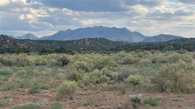 177 Camino Querencia, Cerrillos, NM 87010
