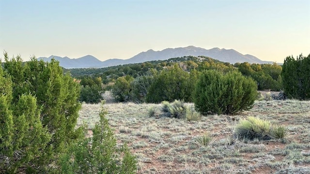 177 Camino Querencia, Cerrillos, NM 87010