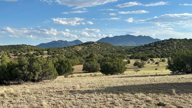 177 Camino Querencia, Cerrillos, NM 87010