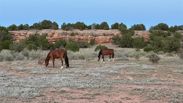 177 Camino Querencia, Cerrillos, NM 87010