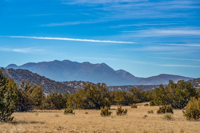 177 Camino Querencia, Cerrillos, NM 87010
