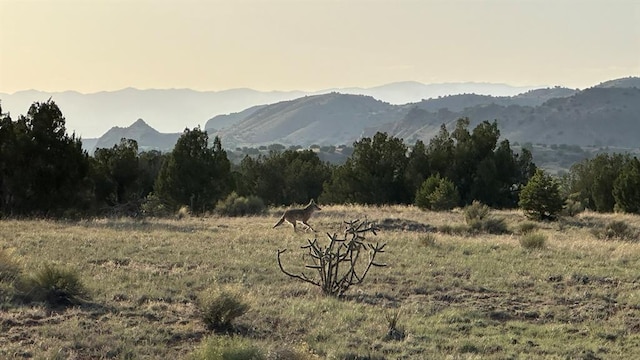 177 Camino Querencia, Cerrillos, NM 87010