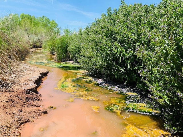 177 Camino Querencia, Cerrillos, NM 87010