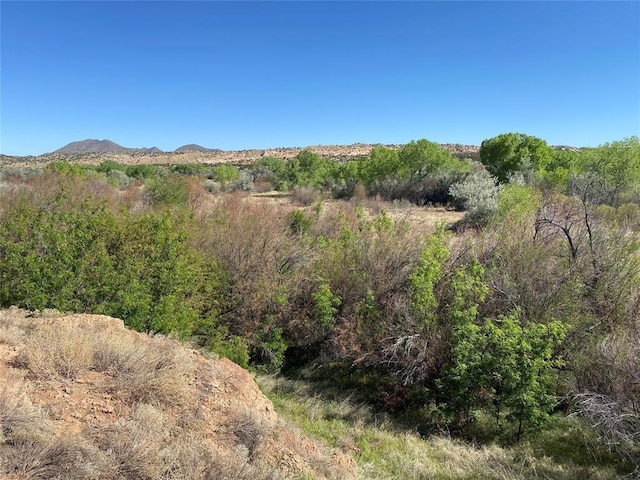 177 Camino Querencia, Cerrillos, NM 87010