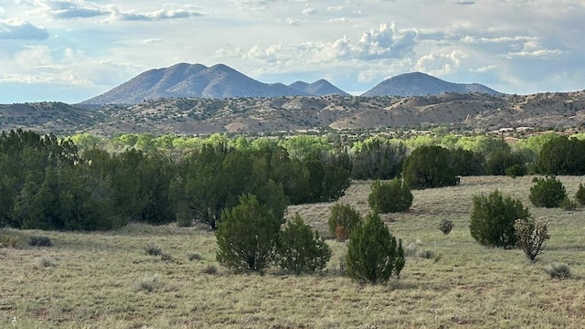 177 Camino Querencia, Cerrillos, NM 87010